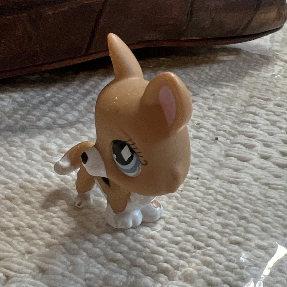 Littlest Pet Shop LPS Authentic‎ Hasbro #031 Corgi Dog 2007